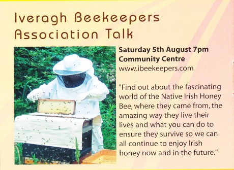 Cahersiveen Festival of Music and the Arts 2012